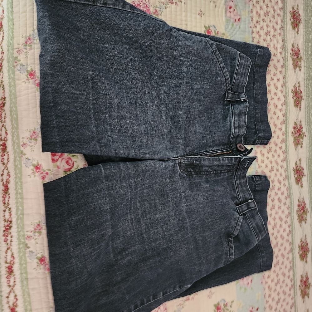 Lee Dark Blue Ankle Jeans